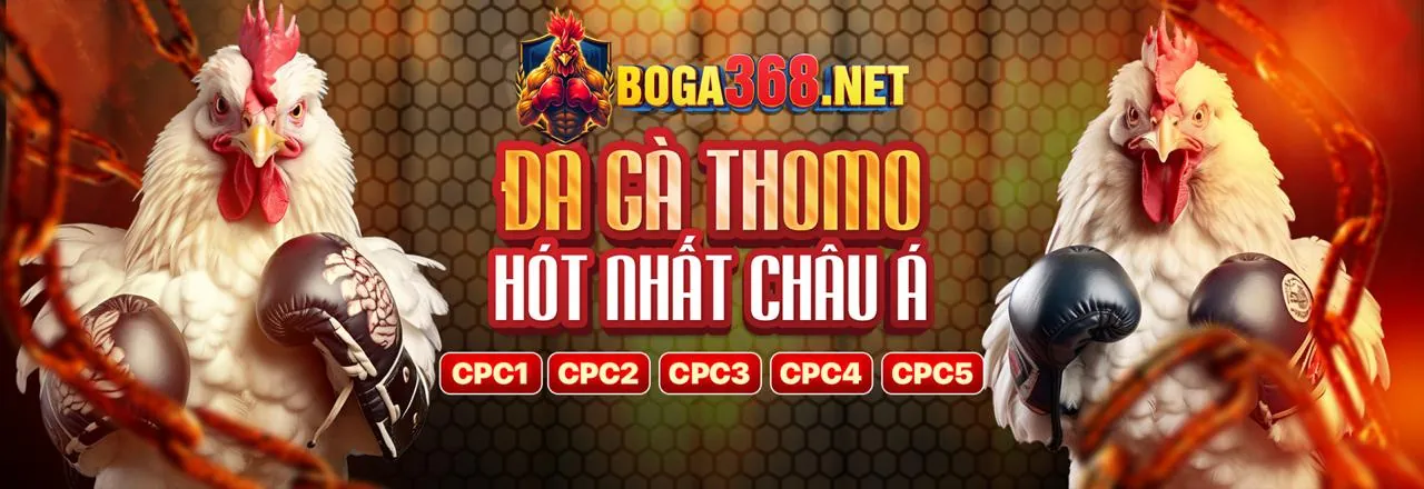 Cá cược có trách nhiệm tại uuu888